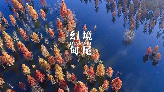 骑行爱好者必看!上海长兴岛秘密骑行路线与超赞租车点揭秘!