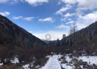 铁路部门提供“静音车厢”服务组列车新增35列