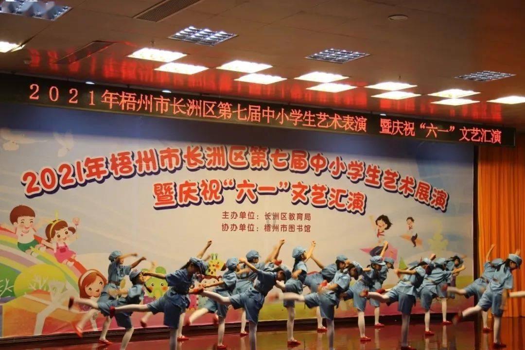永善新拉村 开展移风易俗宣传活动